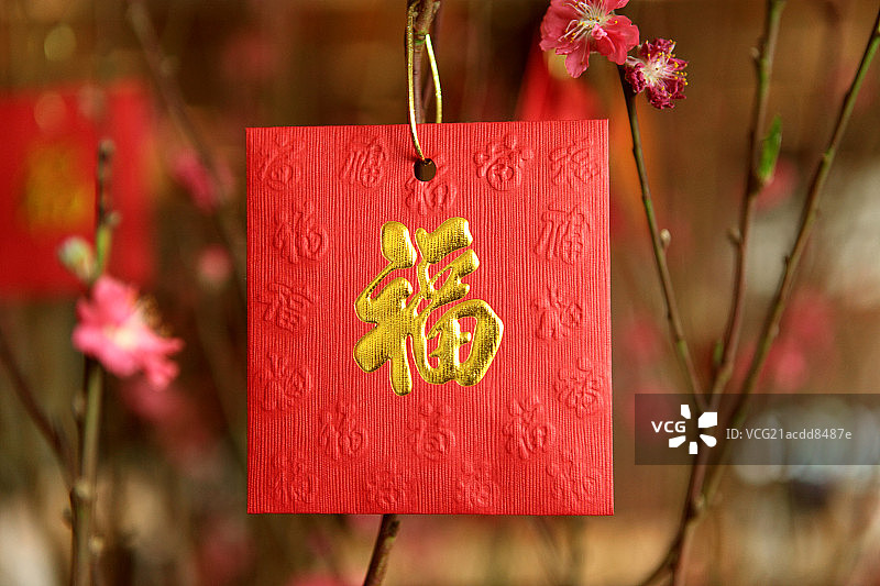 挂在发财树上的福字红包图片素材