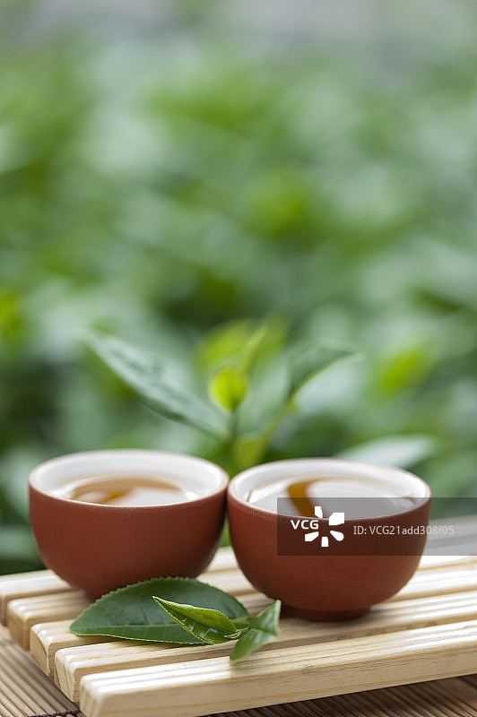 茶,中国茶图片素材