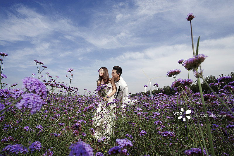 浪漫薰衣草婚纱情侣图片素材
