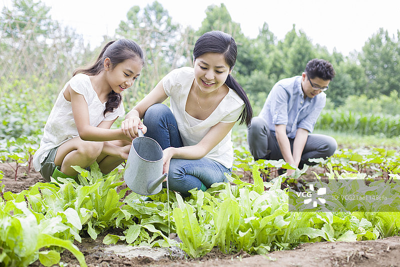 年轻家庭在菜园劳动图片素材