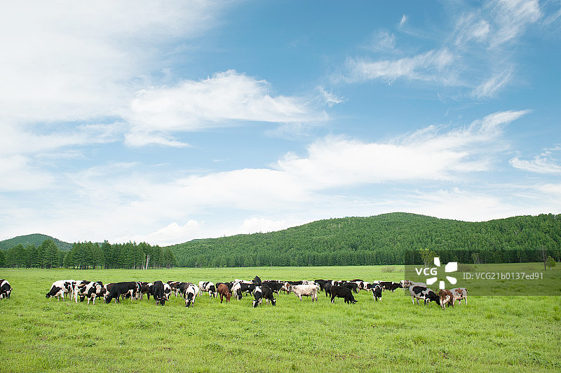 内蒙古阿荣旗田园风光图片素材