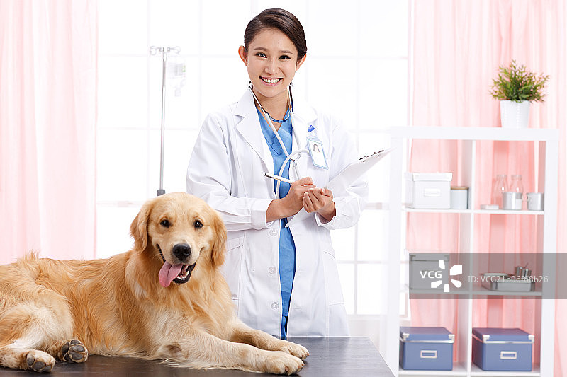 兽医给小狗做图片素材