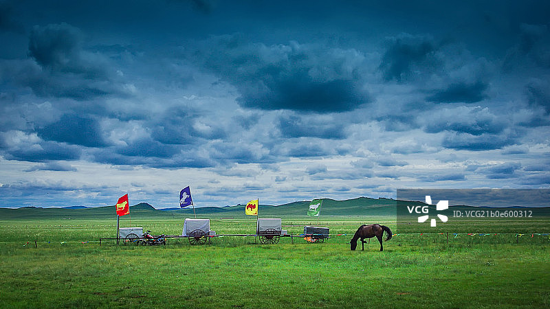 草原上的车和马图片素材