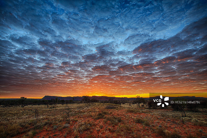 澳洲中部国王峡谷朝阳日未红蓝天图片素材