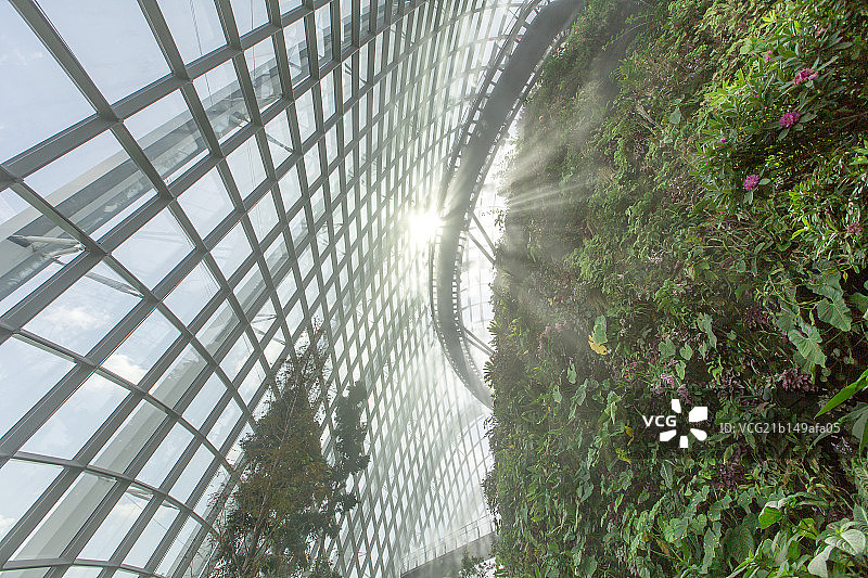 新加坡植物园图片素材