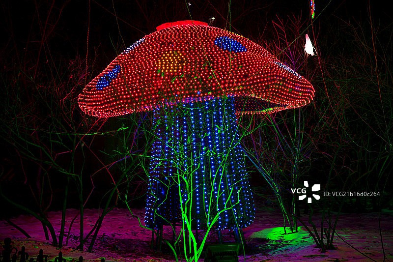 五彩的蘑菇形状的霓虹灯图片素材