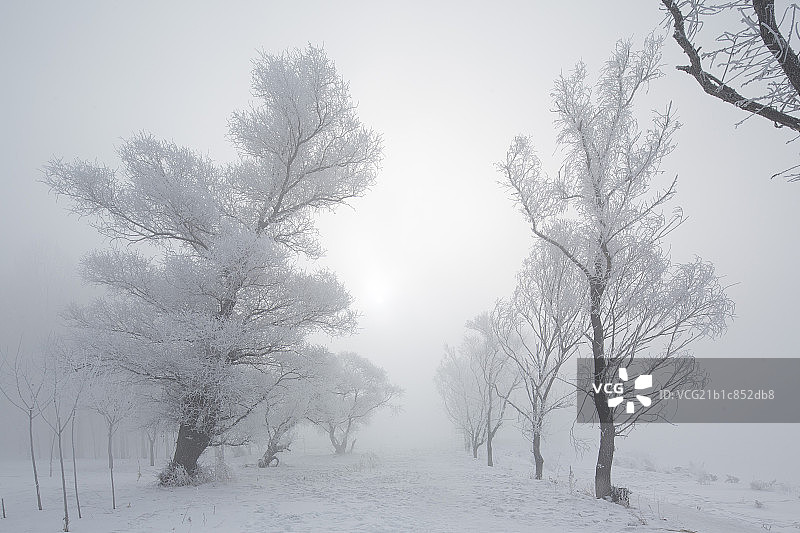 东北吉林雾凇岛图片素材