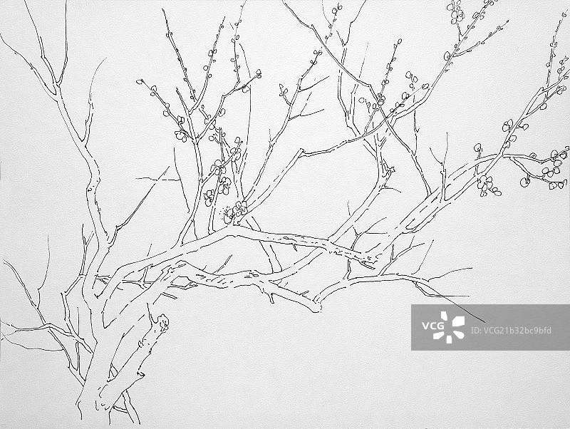 绘画手稿图片素材