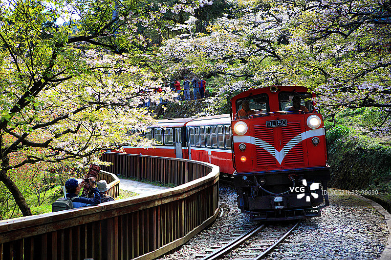 台湾阿里山自然风光图片素材