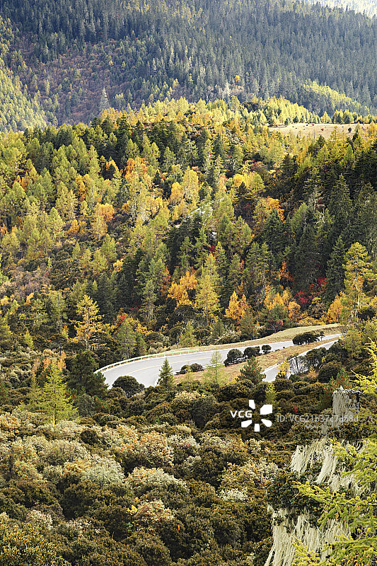 云南丽江普达措公园的碧塔海图片素材