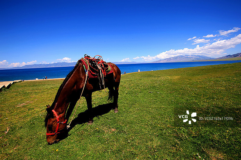 新疆风光图片素材