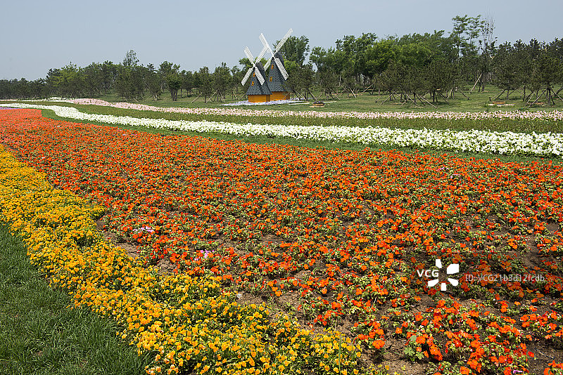 锦州世界园林博览会风光图片素材