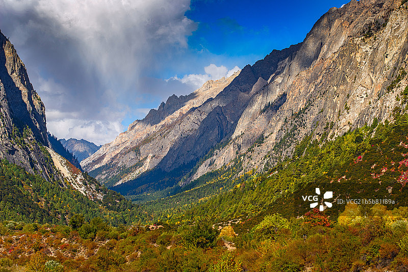 波密秋之谷图片素材