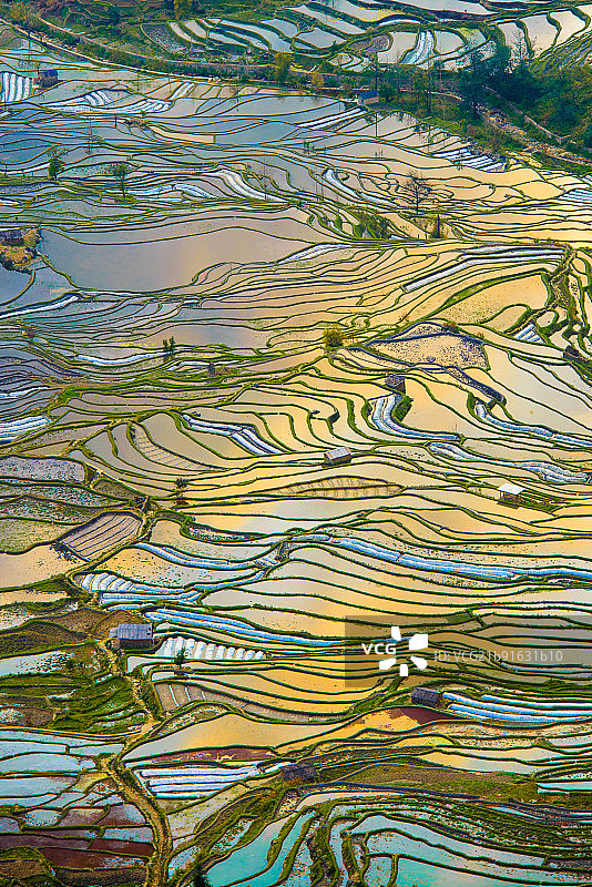 元阳梯田图片素材