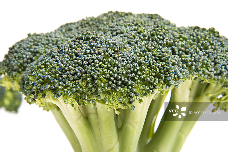 花椰菜图片素材