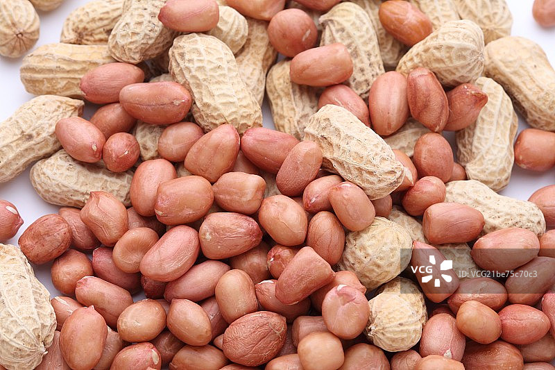 花生图片素材