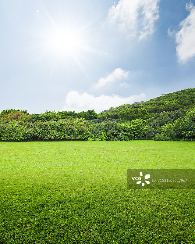 公园，草地图片素材