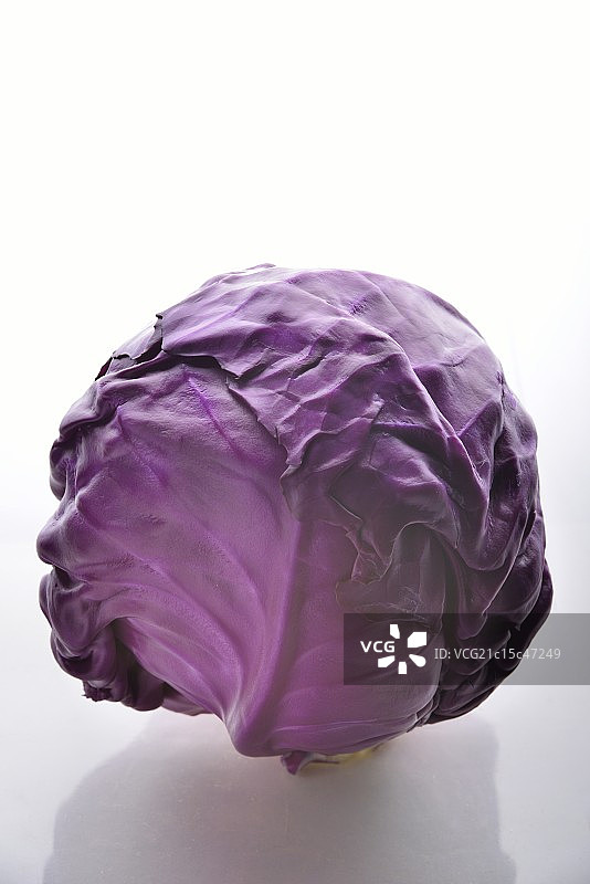 紫甘蓝图片素材