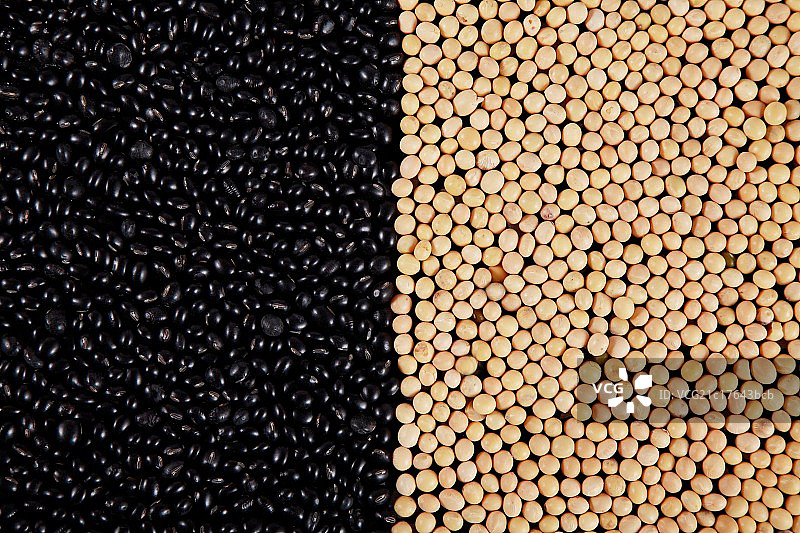 黑豆与黄豆图片素材