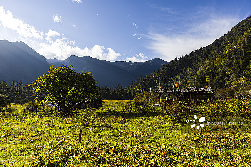 西藏南伊沟图片素材