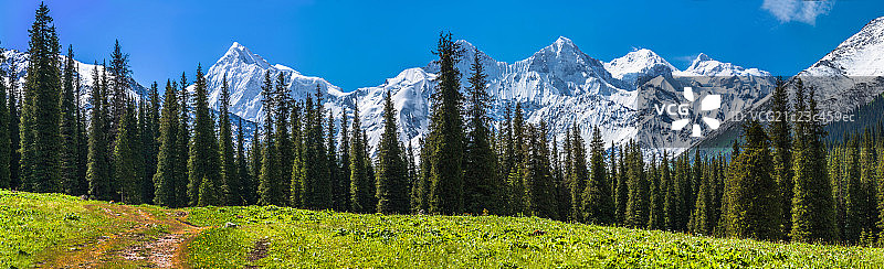 新疆天山夏特古道木扎尔特冰川图片素材