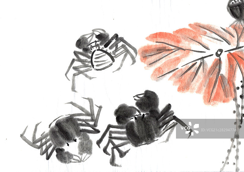 大闸蟹图片素材