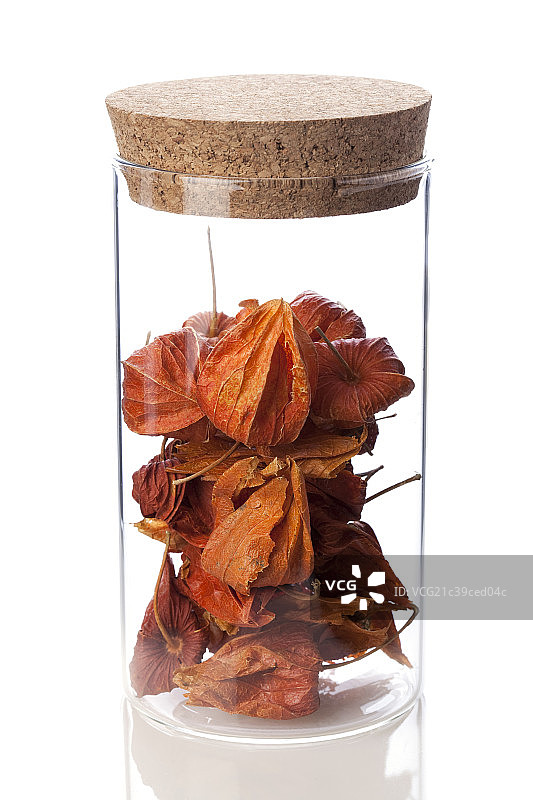 装在玻璃瓶中的锦灯笼图片素材