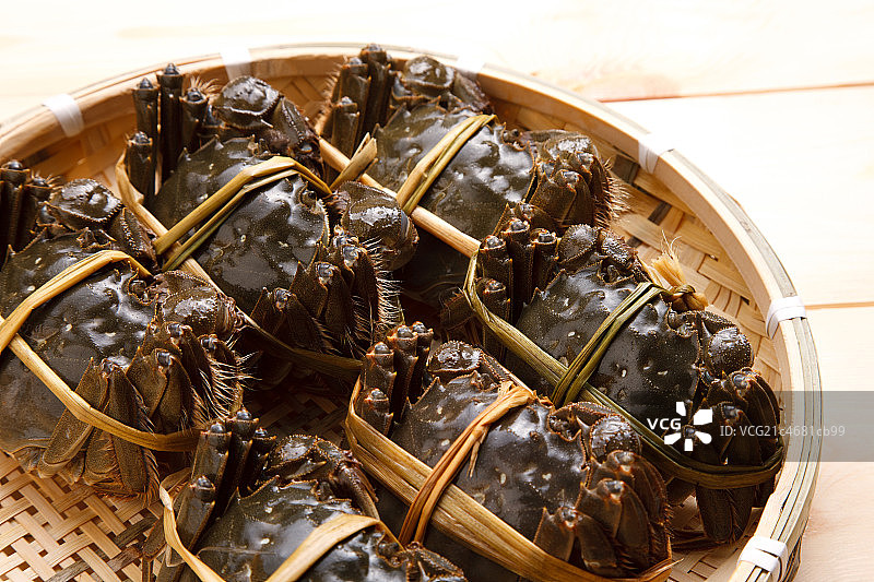 静物螃蟹图片素材