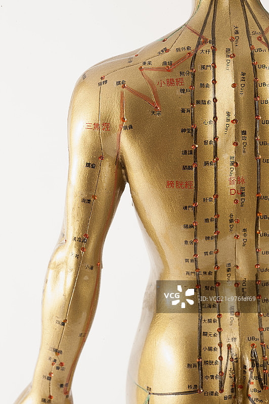 中医,中药,铜人,穴道,图片素材