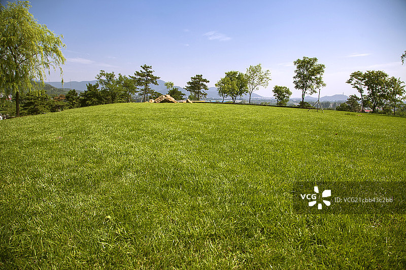 中国的稀树草原图片素材