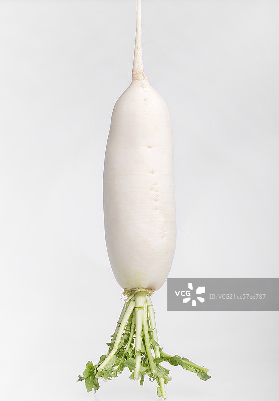 白萝卜特写图片素材