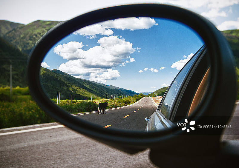 行驶在天堂般的公路上－四川若尔盖图片素材