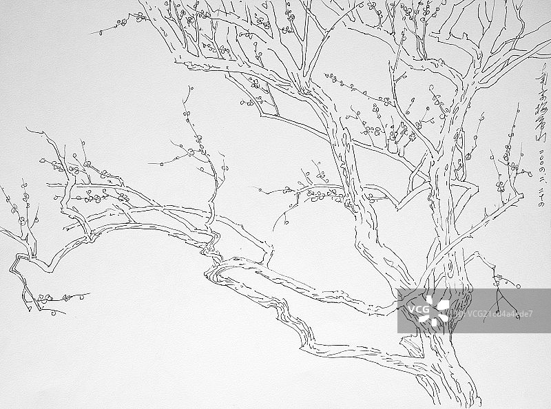 绘画手稿图片素材