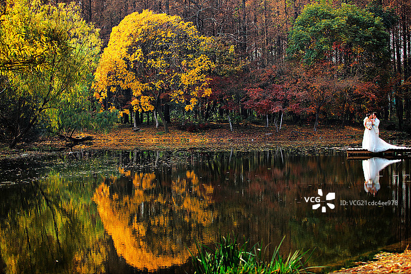 深秋的上海共青森林公园图片素材