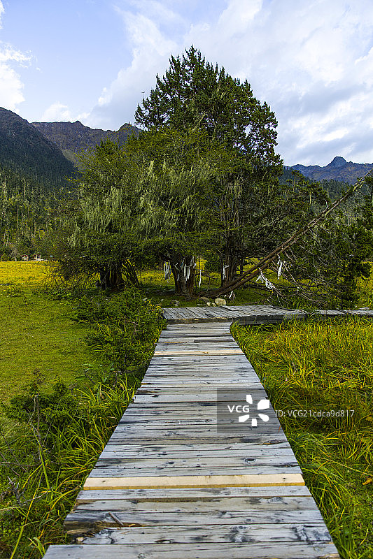 西藏南伊沟图片素材