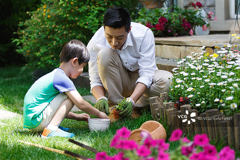 父亲和儿子在种花图片素材