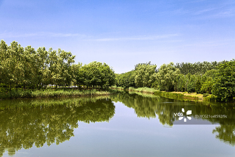 绿树掩映的水面图片素材