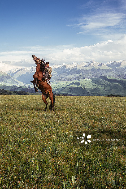 纵马天山草原图片素材