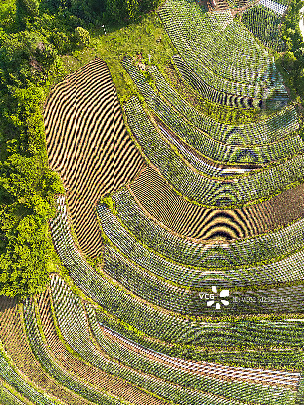 航拍夏季中国松岭雪村图片素材