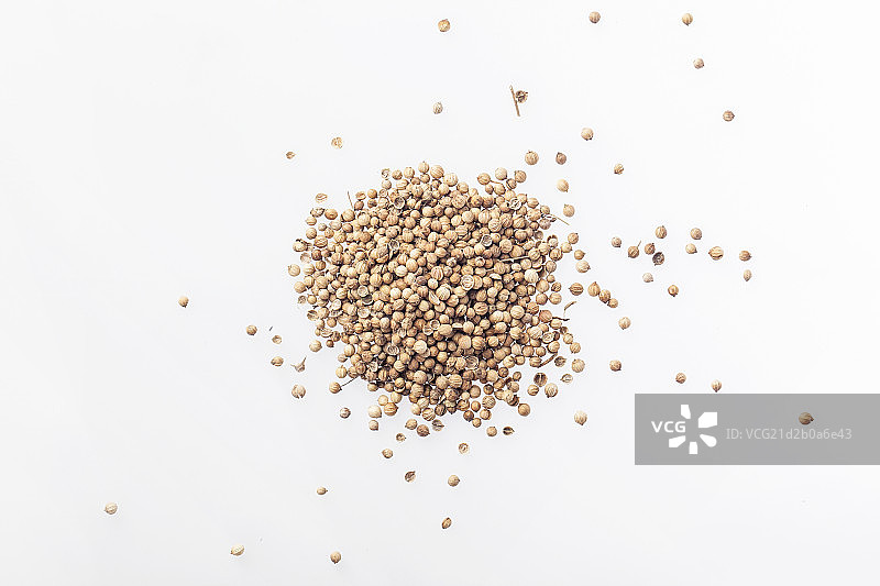 放在桌子上的香菜籽图片素材