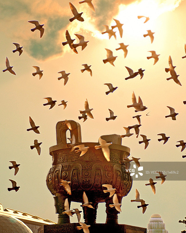 广西南宁宝鼎与飞鸟图片素材