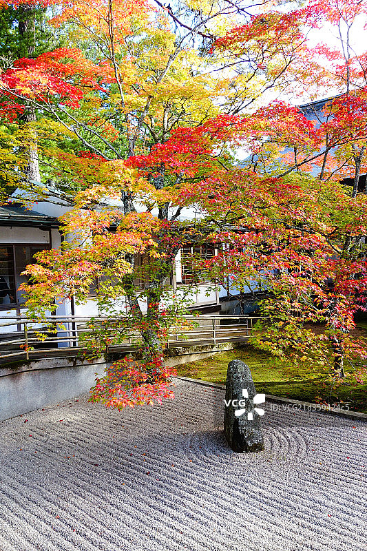星和园风景图片素材