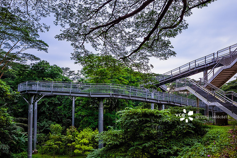新加坡植物园图片素材