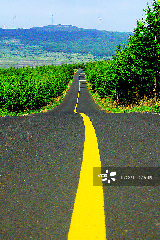 草原山柏油路松树林图片素材