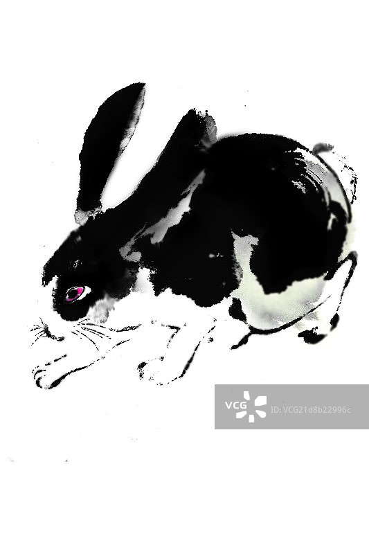 国画兔子图片素材