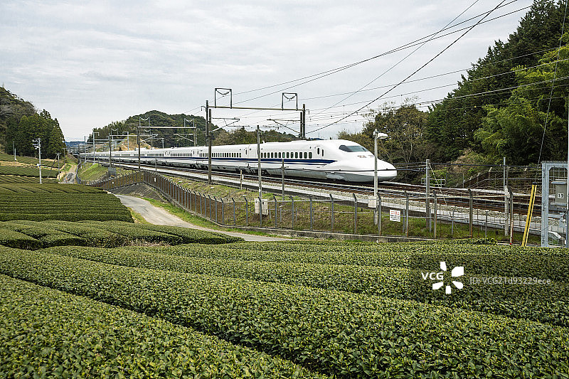 Tea plantations and Shinkansen,Kanagawa,Japan图片素材