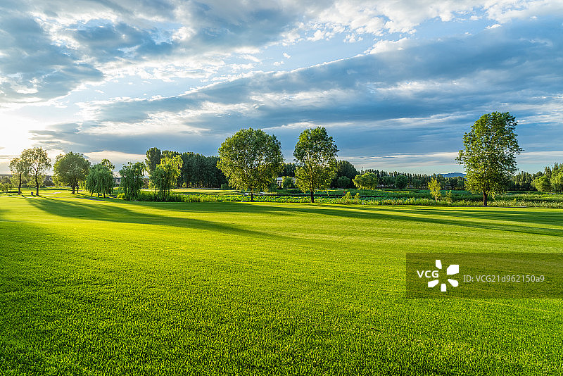 夕阳下的高尔夫球场图片素材