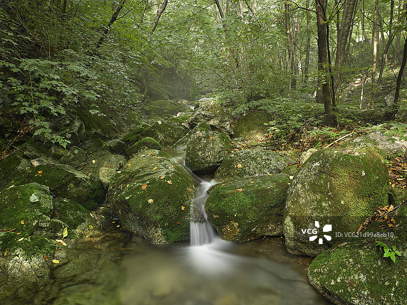 辽宁自然景观本溪绿石谷国家森林公园图片素材