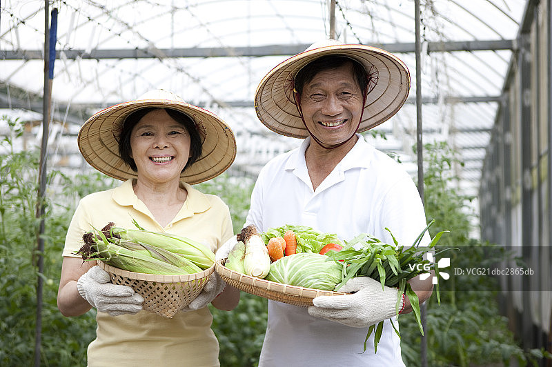 夫妇,农民图片素材