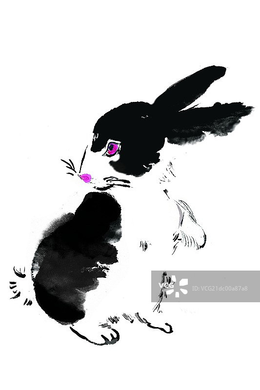 国画兔子图片素材